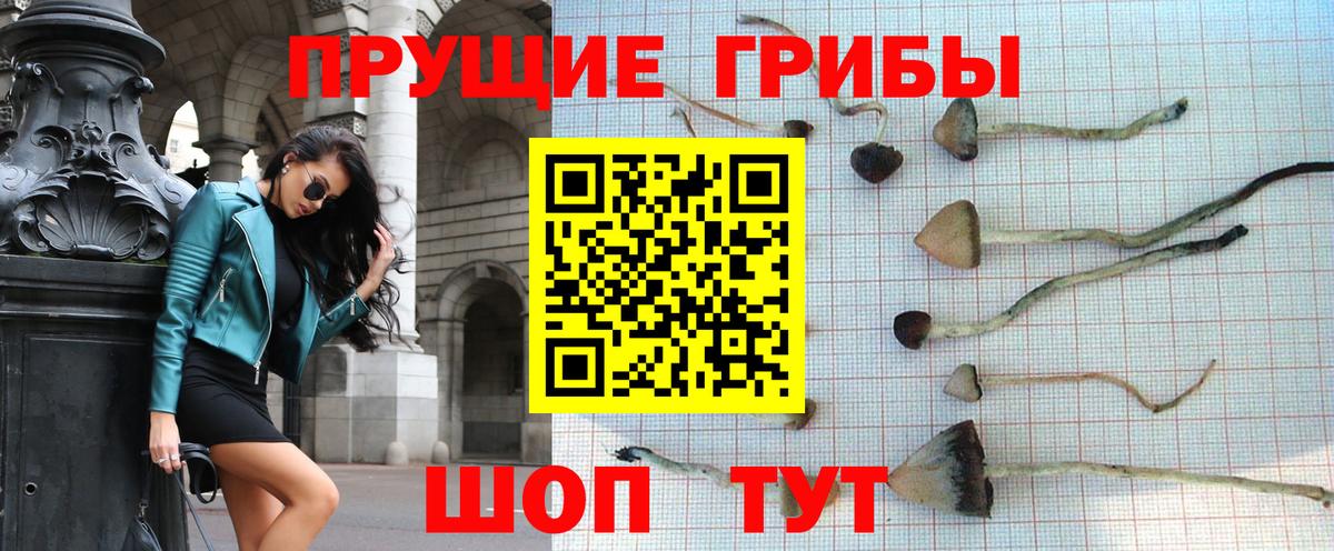 Галлюциногенные грибы Psilocybine cubensis  Галлюциногенные грибы Psilocybine cubensis  купить наркотики цена  Вход с VPN  Красноармейск 